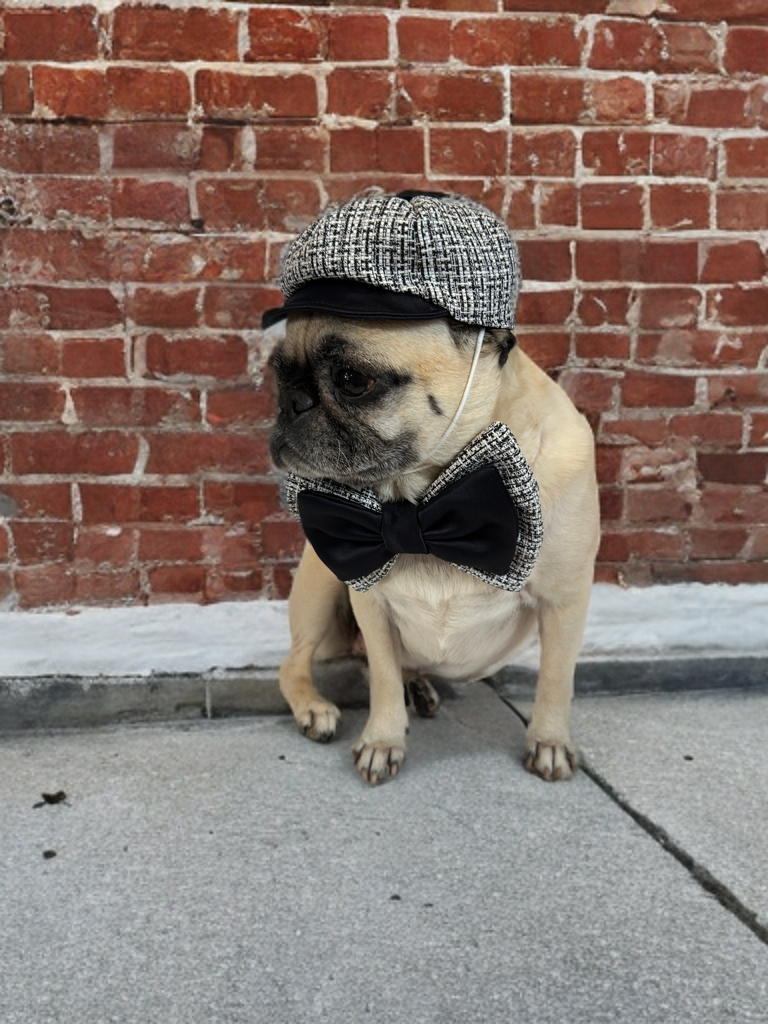Monochrome Luxe Hat & Bow Set